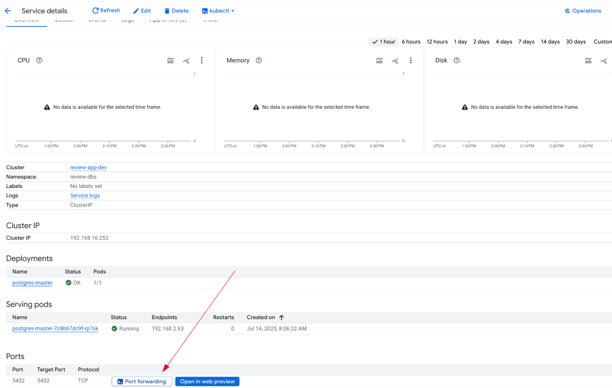 Database Port Forwarding